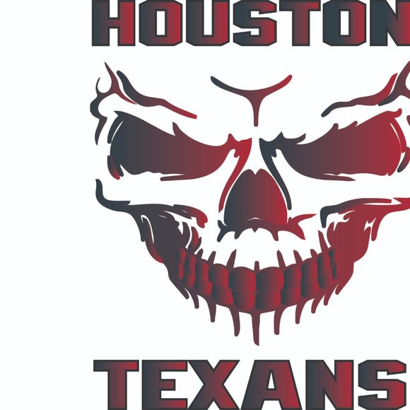 Houston Texans - Picture 2 of 4